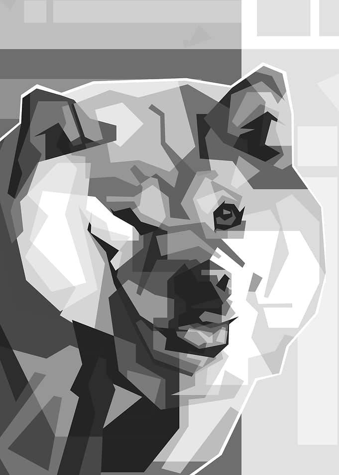 SHIBA INU