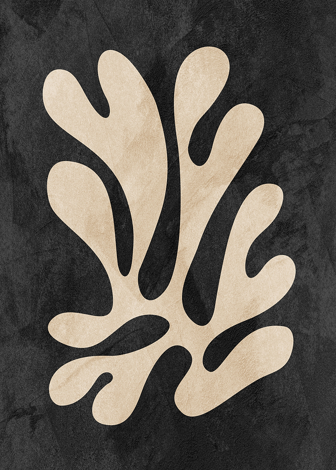 MATISSE 07F