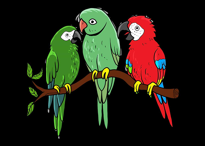 Parrot