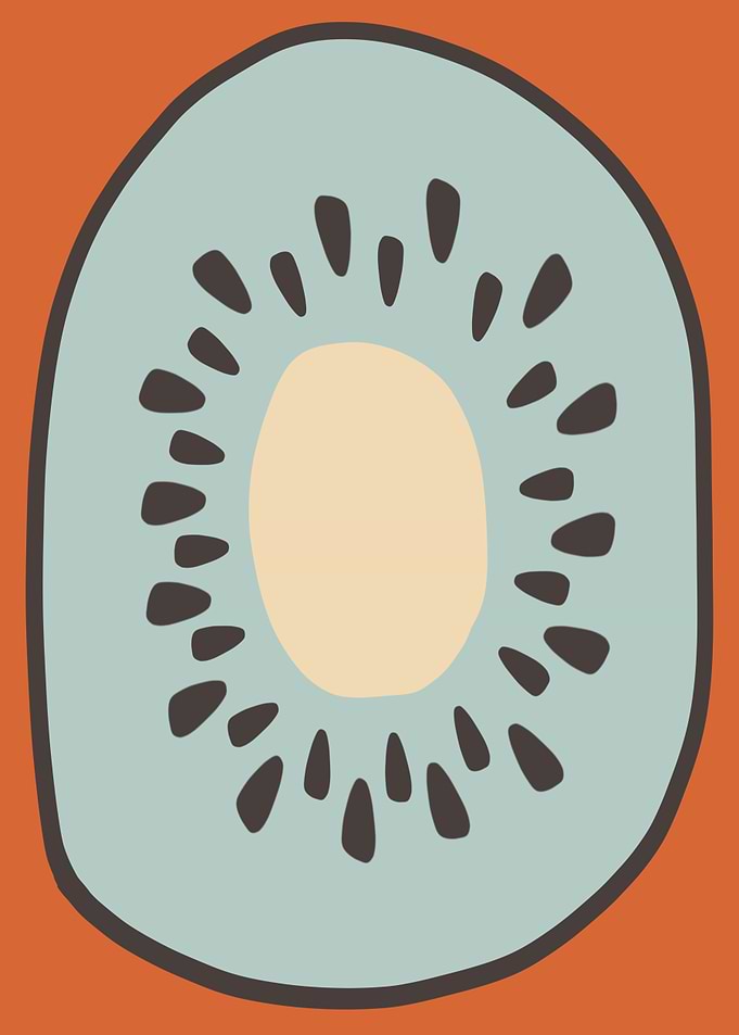 Retro Kiwi Illustration