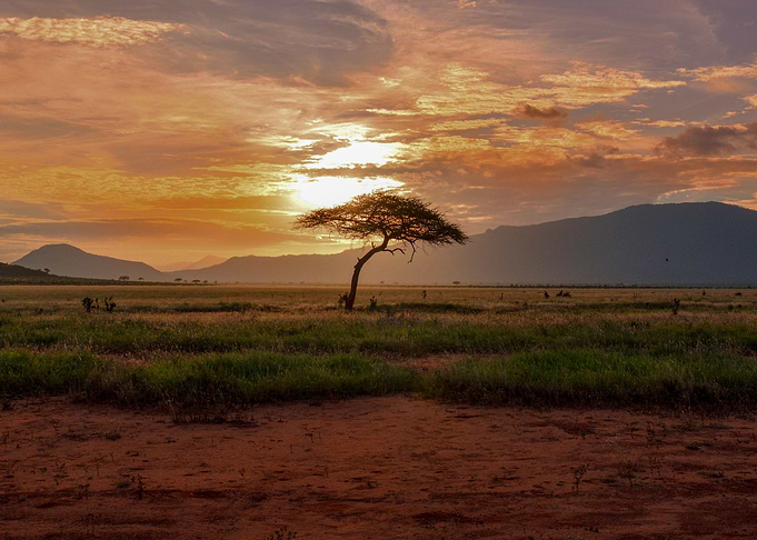 Nature photography