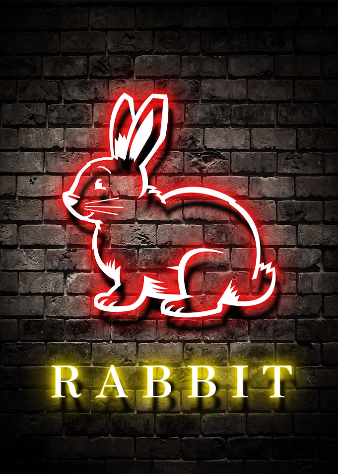 Animal Rabbit