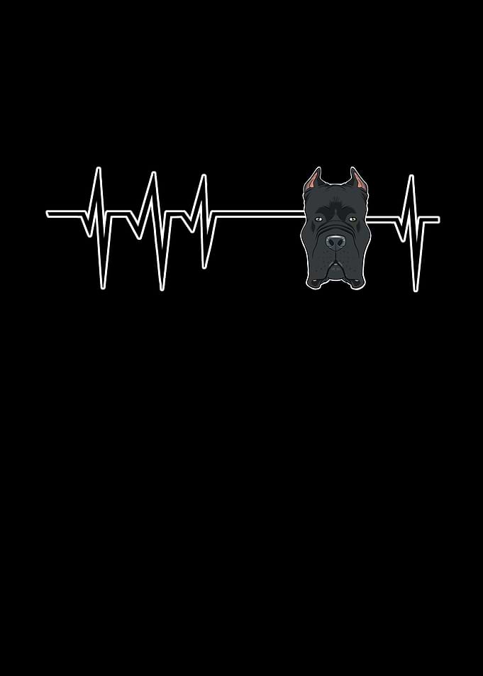Dog Heartbeat Cane Corso
