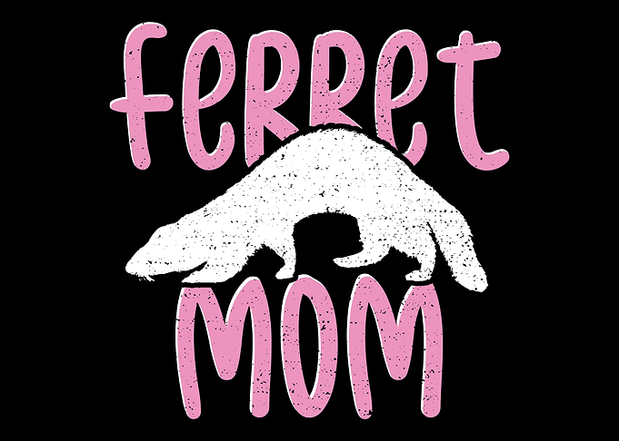 Ferret Mom