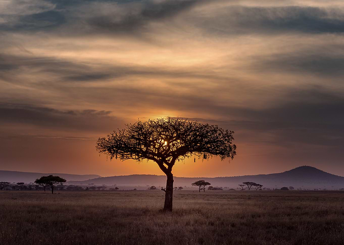 Nature photography