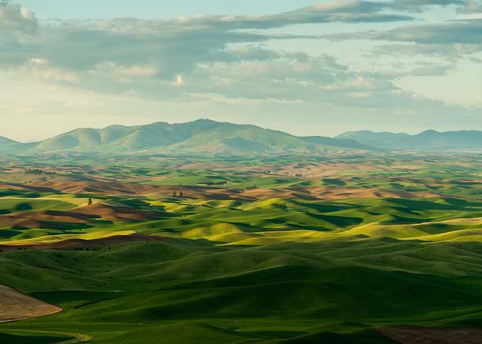 Beautiful shot of grassy h