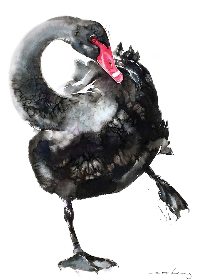 Swan Ballet2