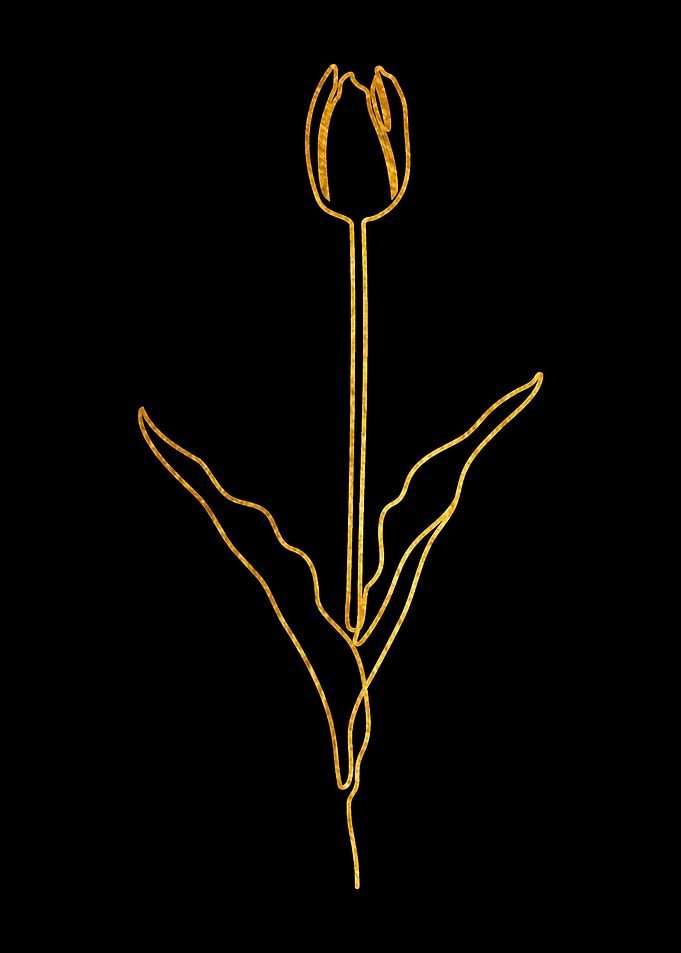 One Line Flower 3