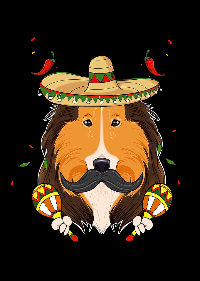 Cinco De Mayo Collie