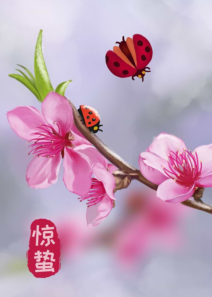 Lotus Flower