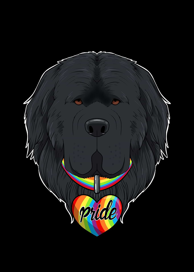 Newfoundland LGBTQ Flag