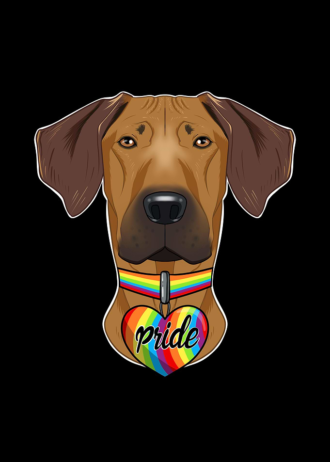 Rhodesian Ridgeback LGBTQ