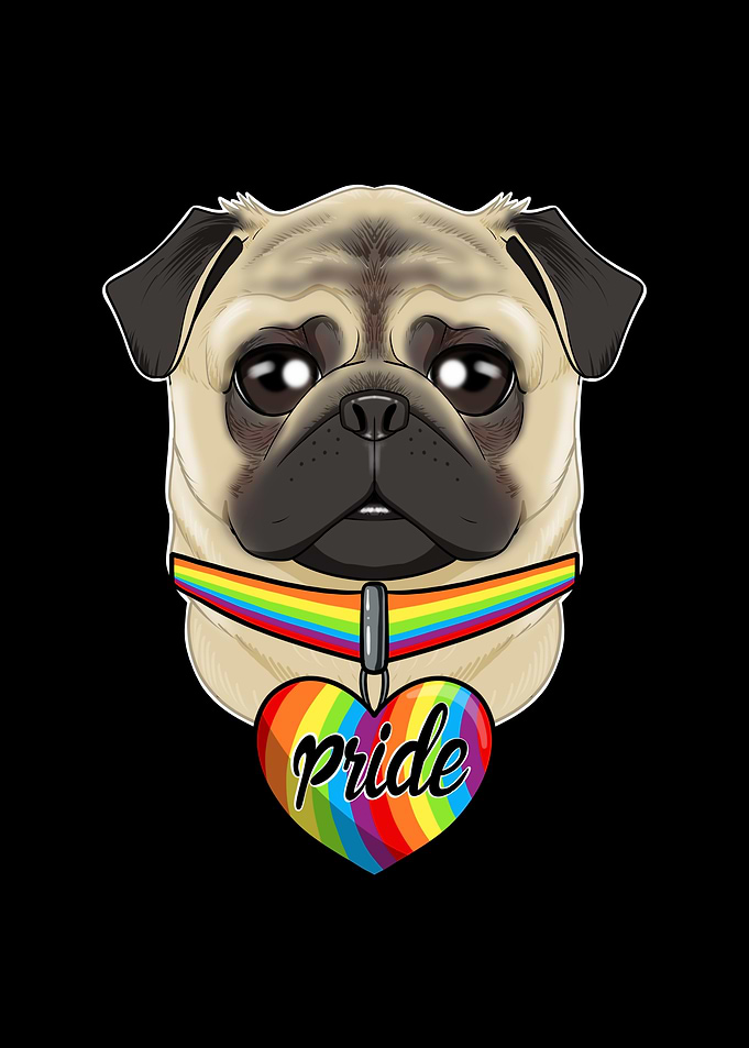 Pug LGBTQ Flag I Gay Pride