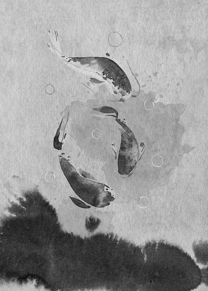 Playful Koi Fish