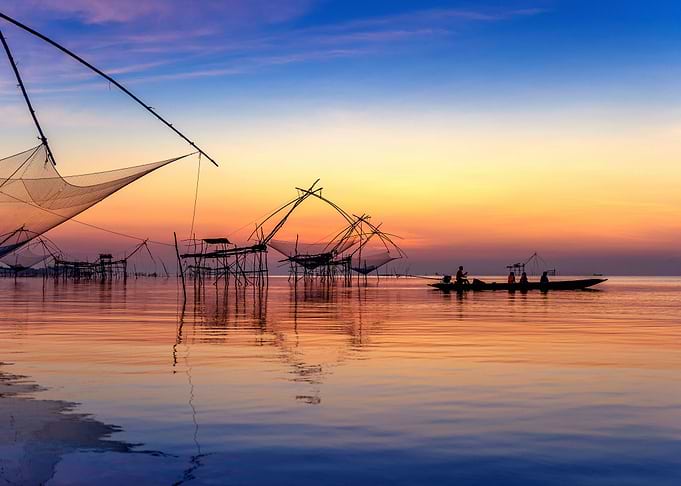 Beautiful sunrise and fish