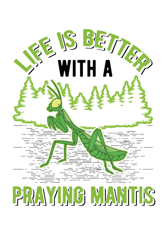 Praying Mantis Religiosa