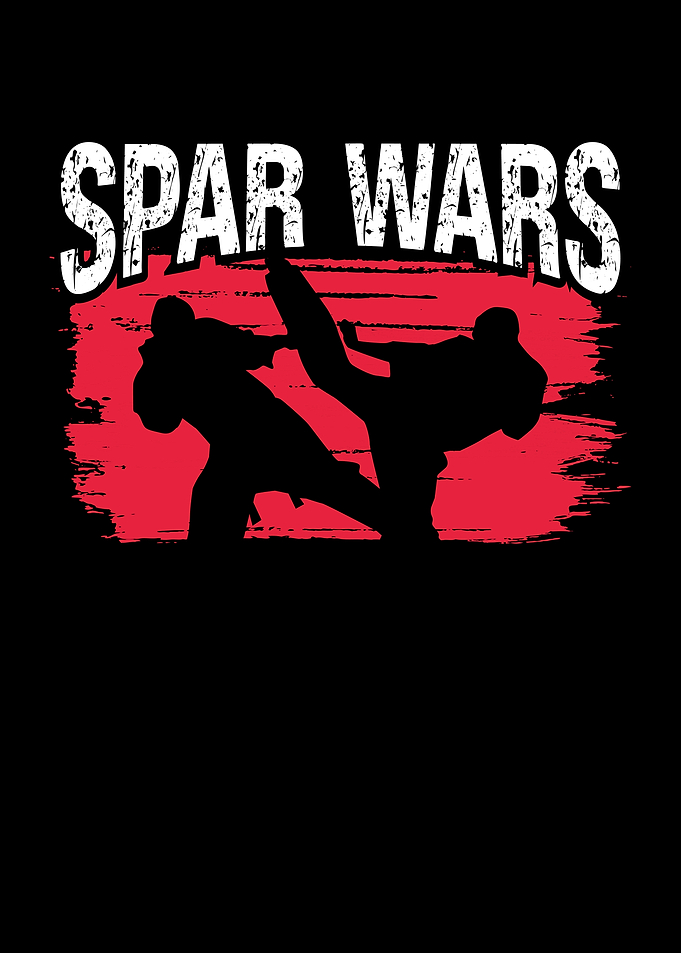 Spar wars martial arts