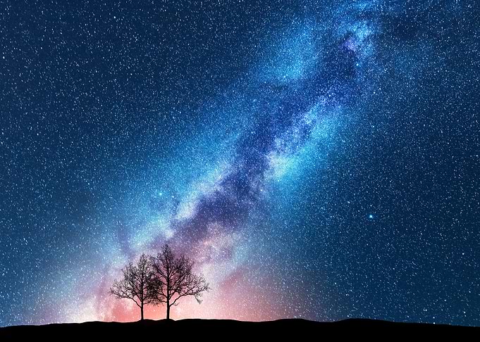Trees against starry sky w