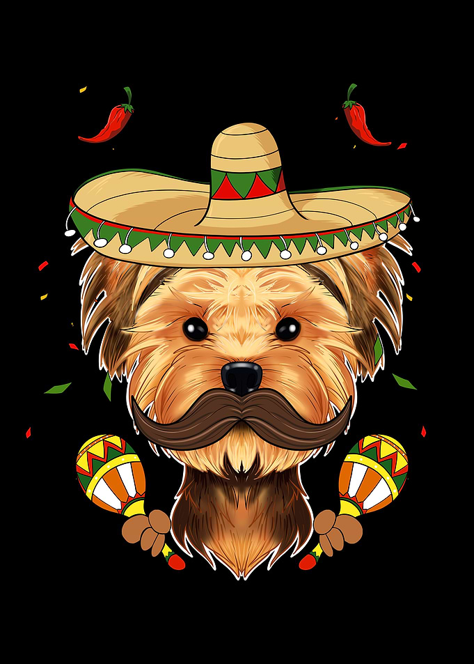Yorkshire Terrier Yorkie