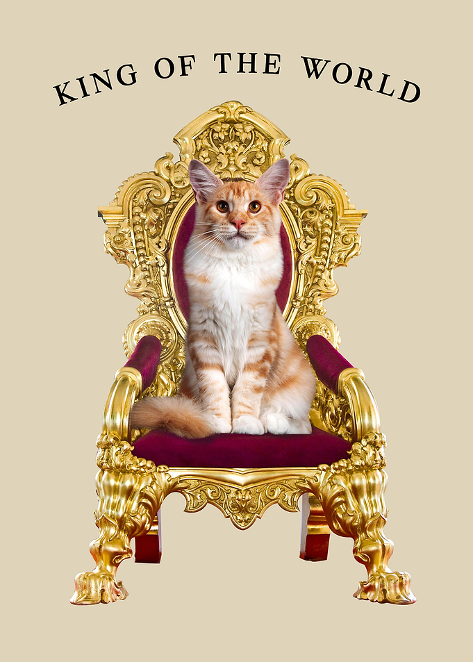 Cat the King of the World