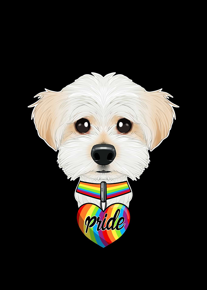 Maltese LGBTQ Flag I Gay
