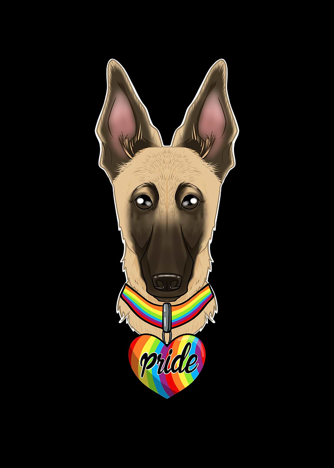 LGBTQ Flag I Gay Pride