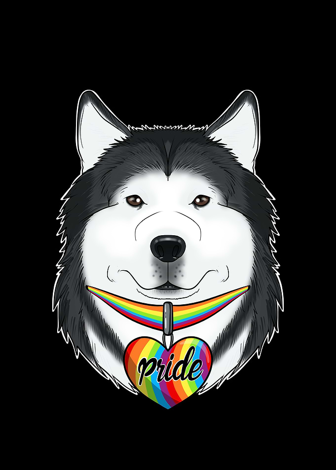 Husky LGBTQ Flag I Gay