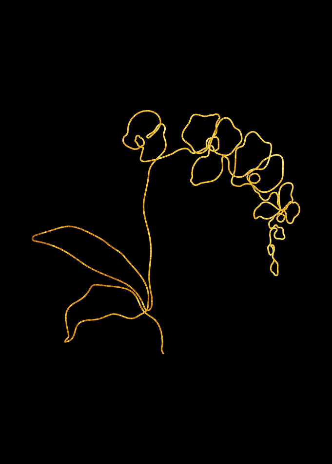 One Line Flower 2