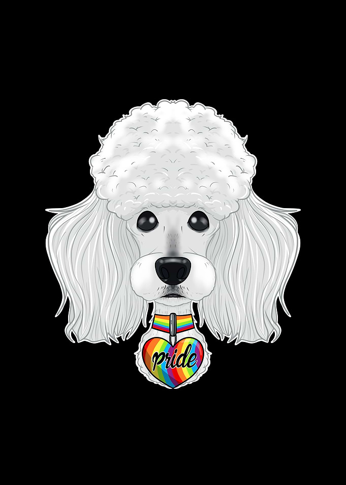 Poodle LGBTQ Flag I Gay