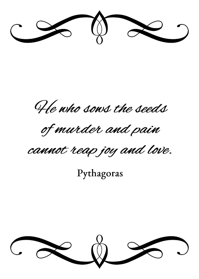 Sow Joy and Love
