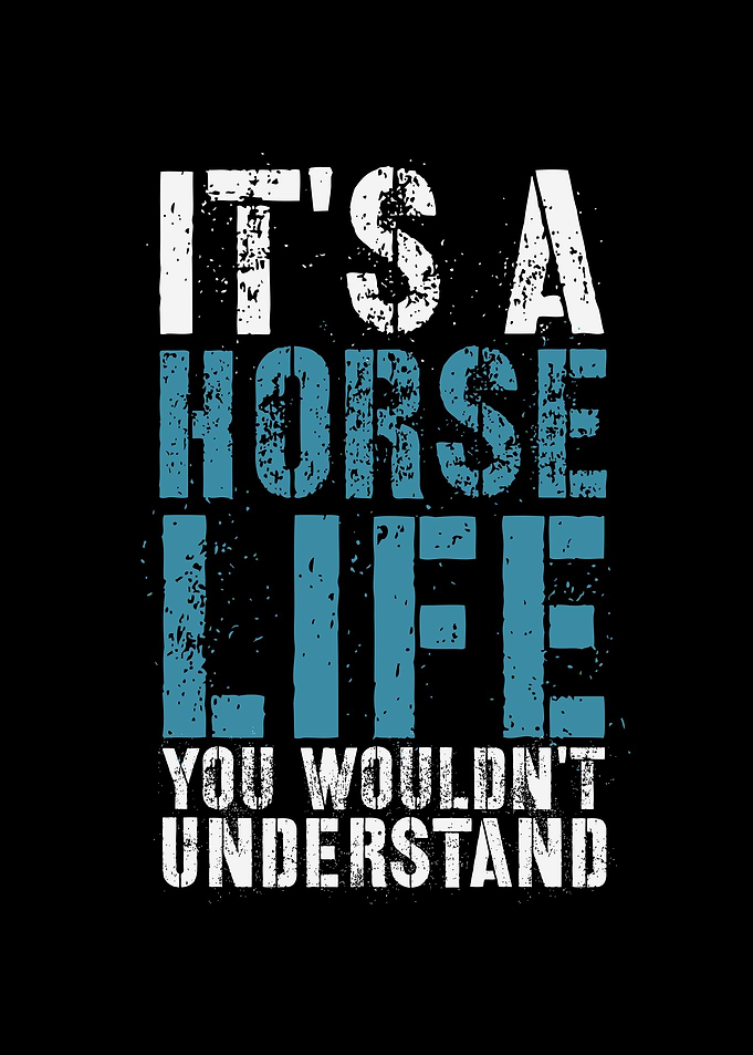 Horse Life Saying