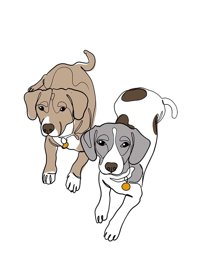Couple Dogs One Line Art