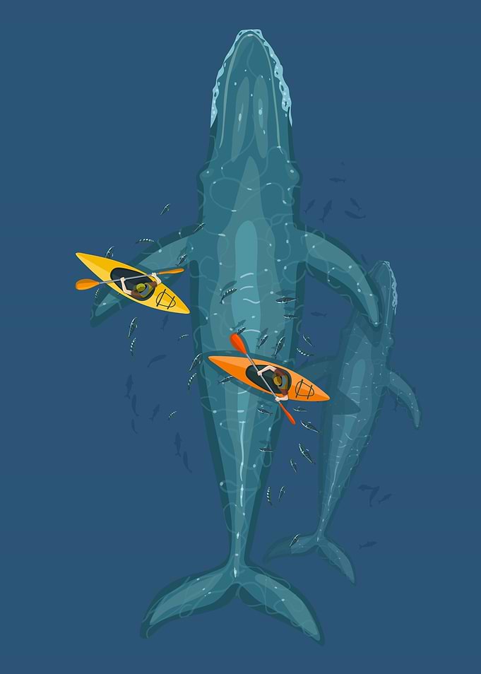Canoes on whale family