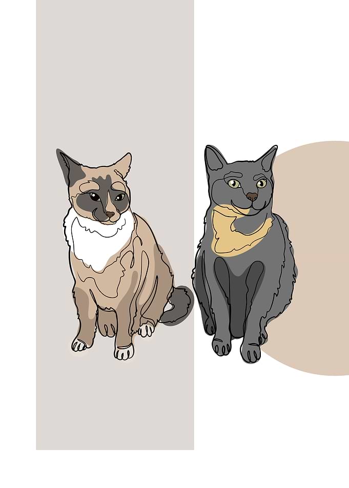 Cat One Line Art Minimalis