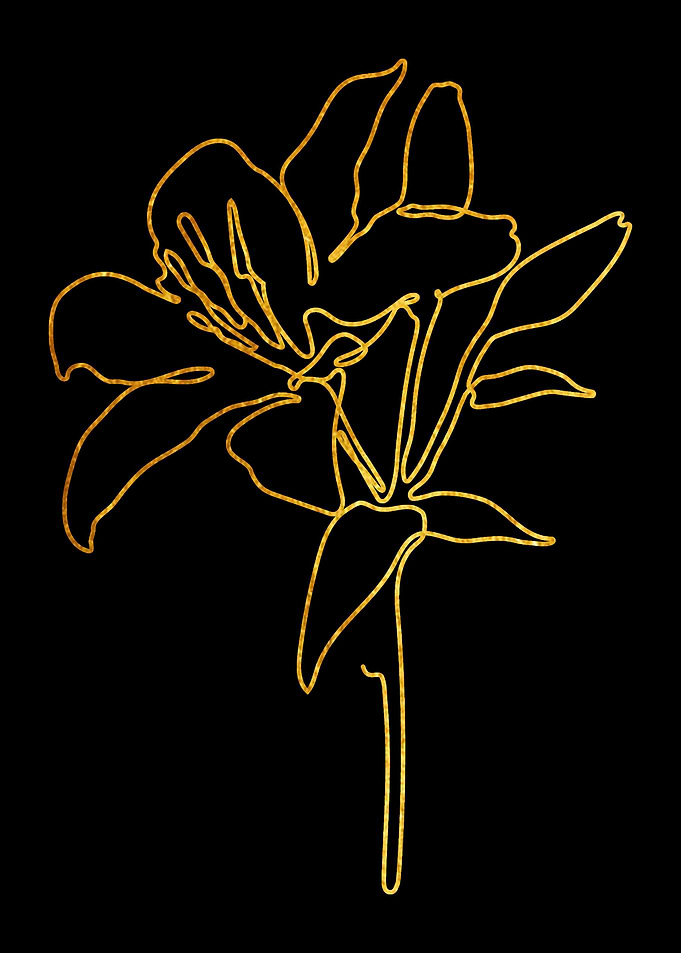 One Line Flower 9