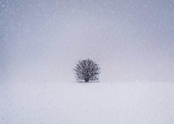 Painting of a lone tree