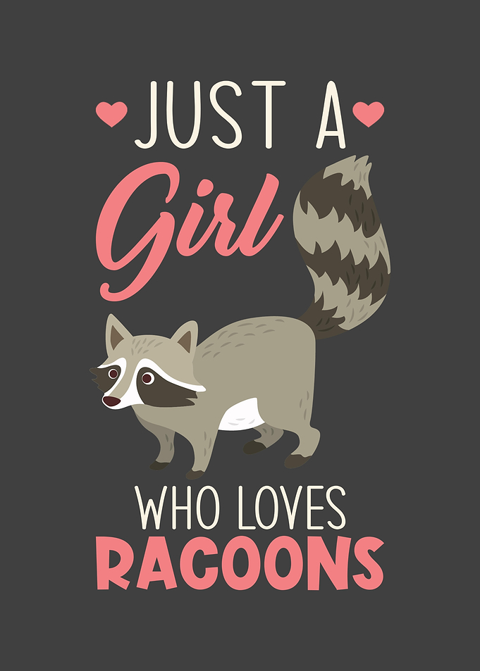 Raccoon Cute