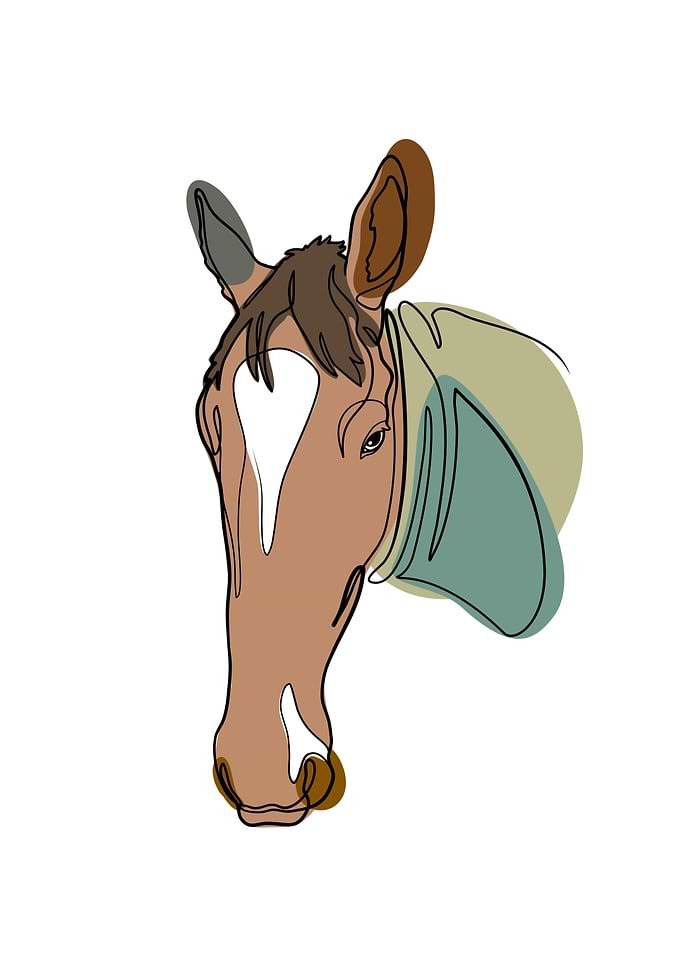 Horse One Line Art Minimal