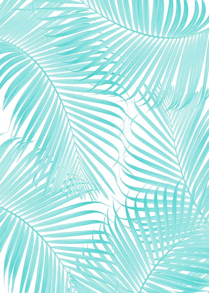 Palm Delicado Pattern 3