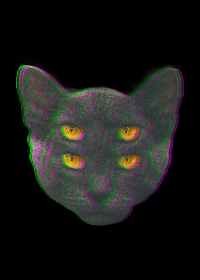 Cat Glitch Vaporwave Weird