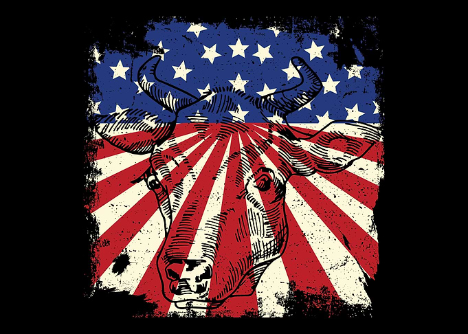 American Flag Cattle Cow
