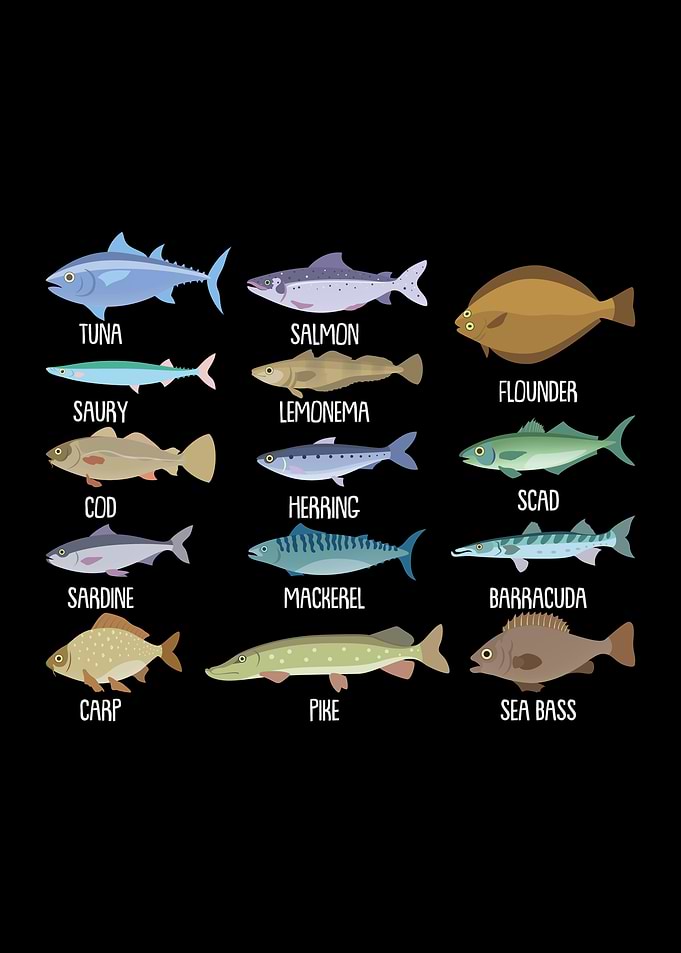Types Of Freshwater Fish