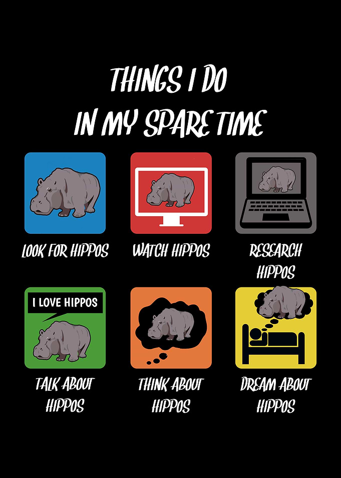 Spare Time Loves Hippos