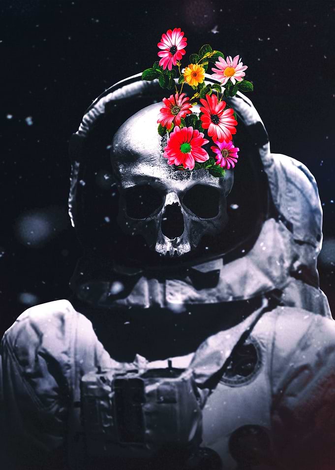 What Blooms Again