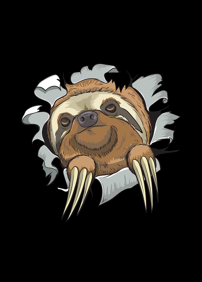 Cute Sloth Lazy Animal