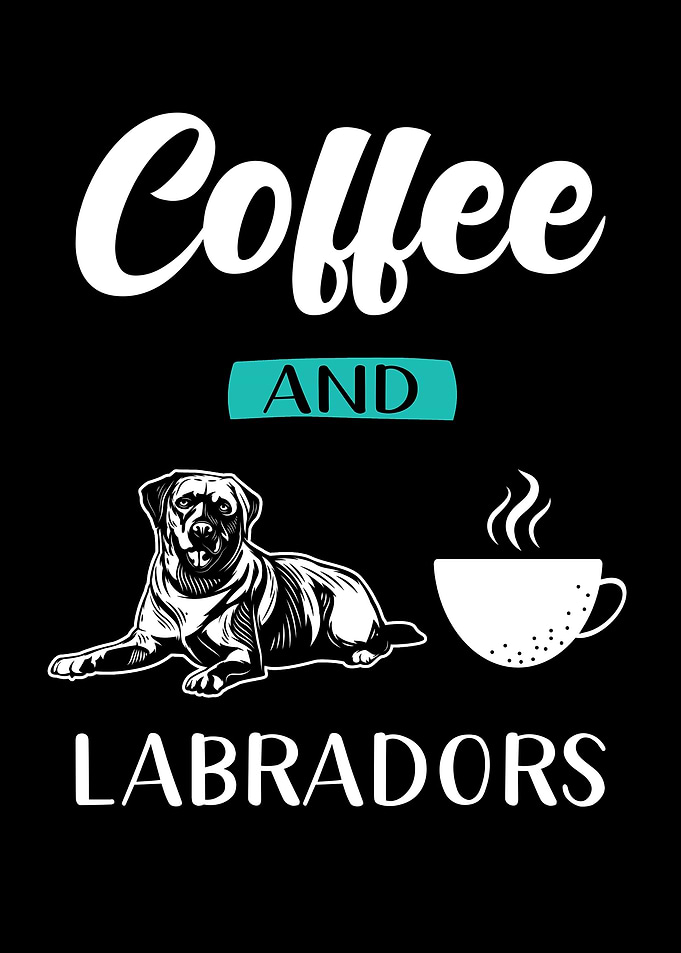 Labrador