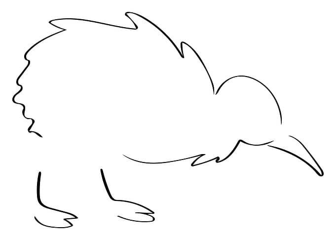 Kiwi Line Art Minimal