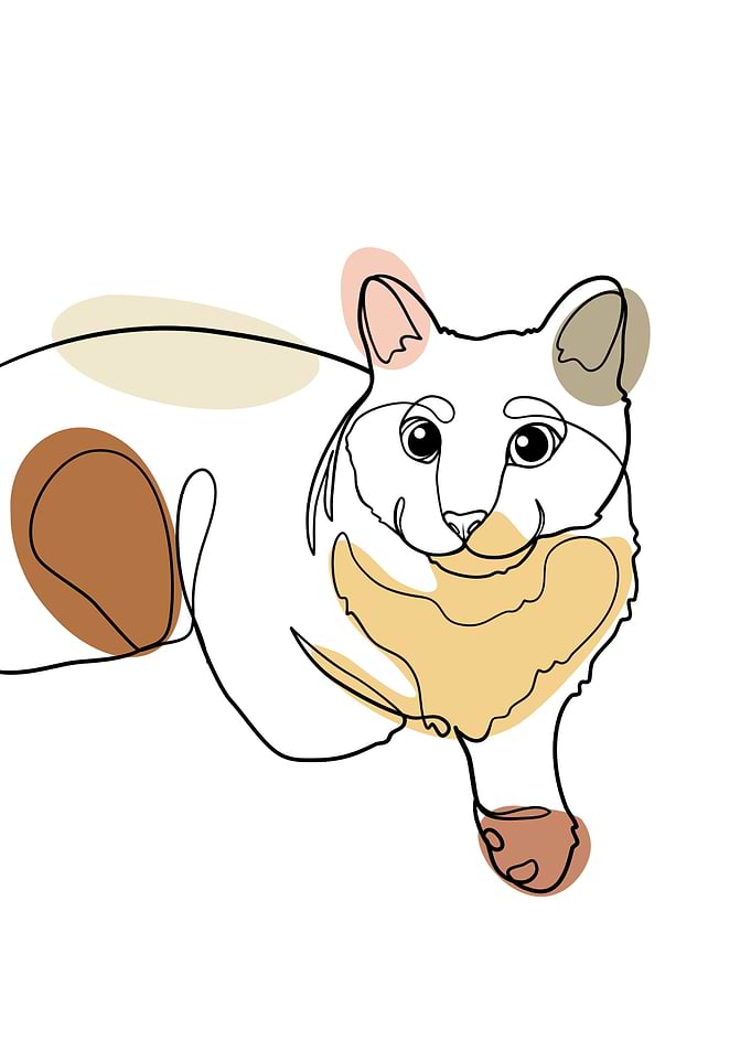 Cat One Line Art Minimalis