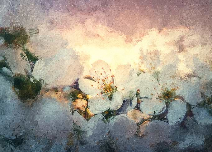 Cherry bloom painting