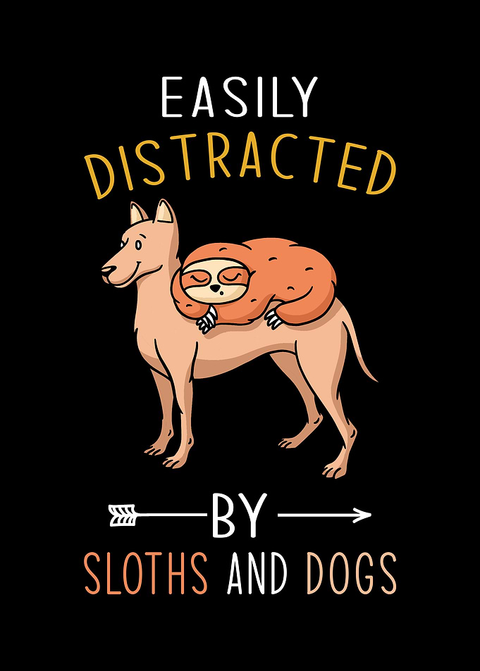 Sloth Dog Saying